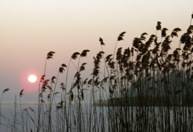 ejercicios relejación para los acúfenos